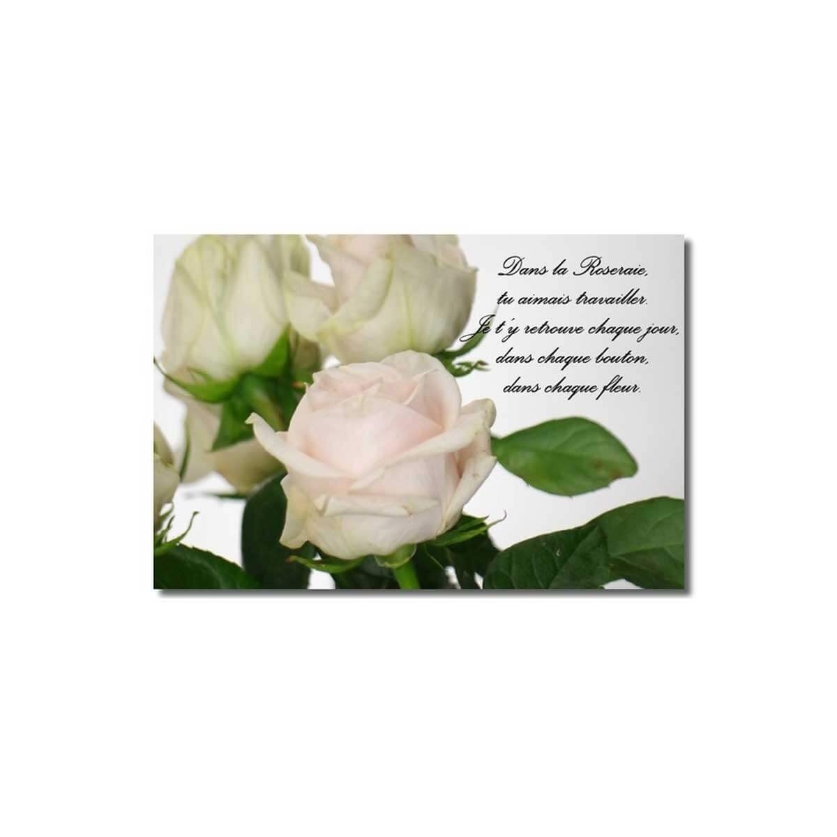 Acheter une plaque funéraire avec photo - Bouquet de rose - Fleurs