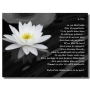 plaque funéraire plexi avec votre photo plaque funéraire plexi avec votre photo