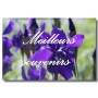 plaque plexi avec photo toussaint plaque plexi avec photo toussaint