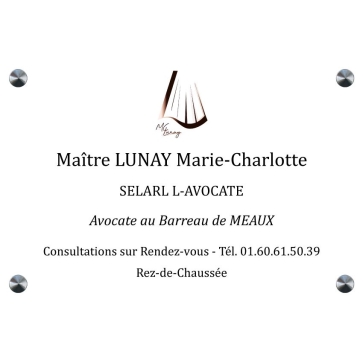 Plaque plexiglas 30x20cm