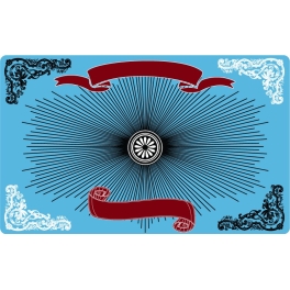 Plaque pour voiture de mariage - format US - Visuel unique - rigide