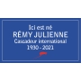 Commande REMY JULIENNE