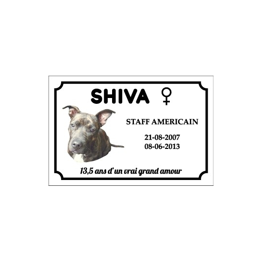 Commande SHIVA