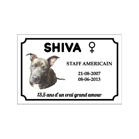 Commande SHIVA