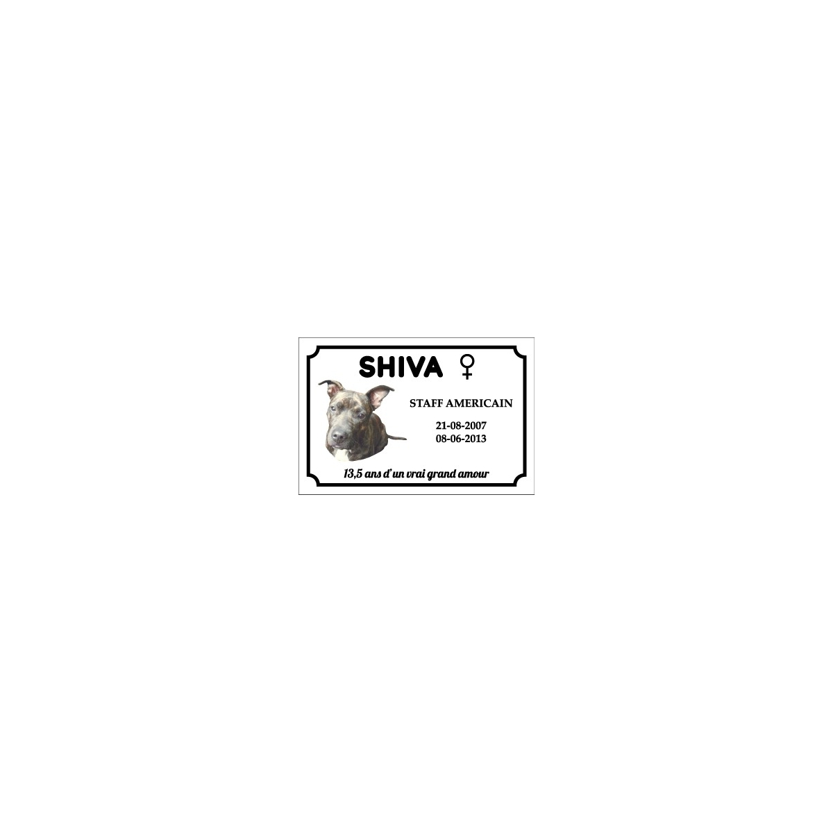 Commande SHIVA