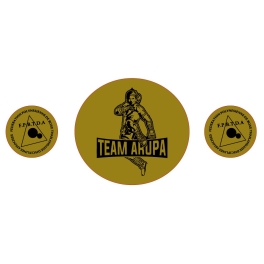 Commande RPS BOXE