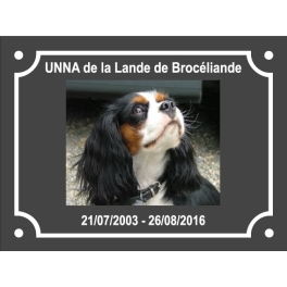 Commande BORDES