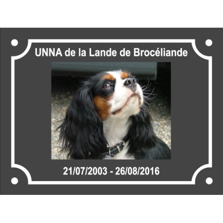Commande BORDES