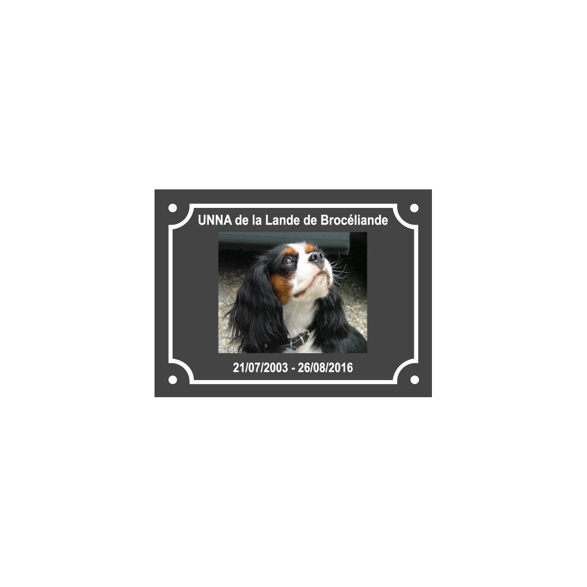 Commande BORDES Commande BORDES