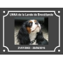 Commande BORDES