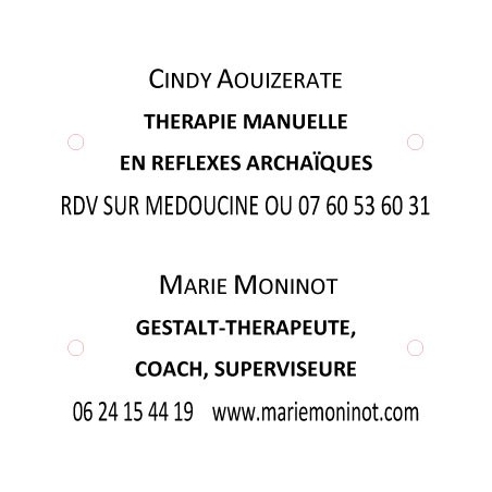 Commande PRIMAULT 2