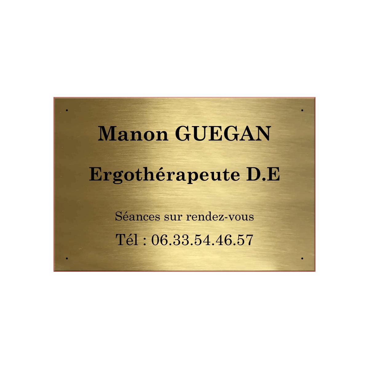 Commande GUEGAN Commande GUEGAN