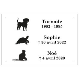 Commande KASALA