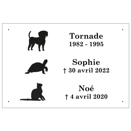 Commande KASALA