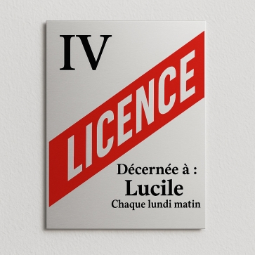 Achat - Replique plaque licence 4 pas cher pour décoration originale