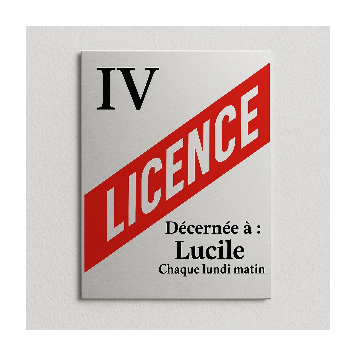 Achat - Replique plaque licence 4 pas cher pour décoration originale
