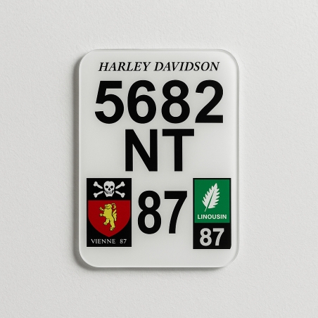 Plaque Immatriculation personnalisée pour véhicule d'exception