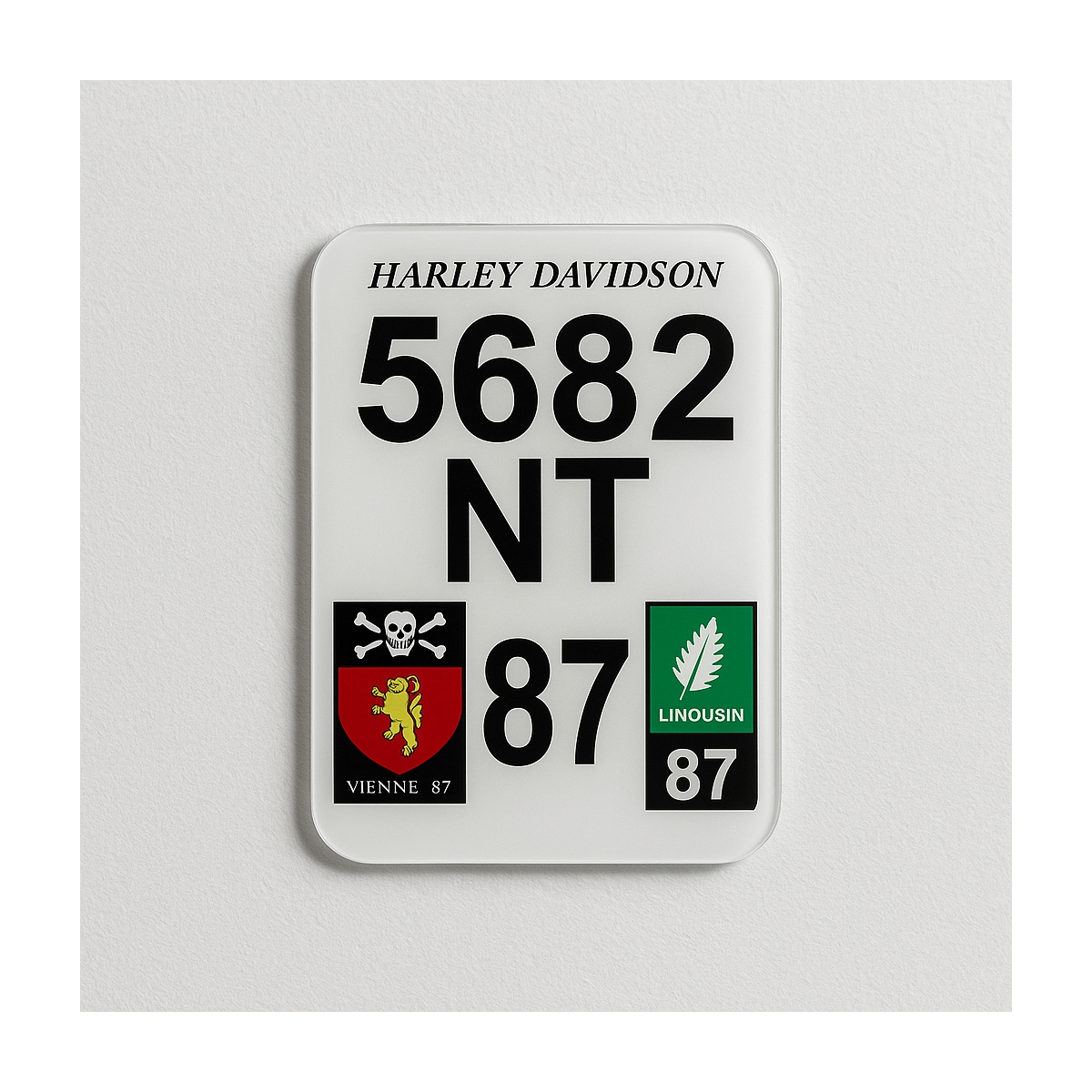 Plaque Immat personnalisée non homologué | Plaque Personnalisée